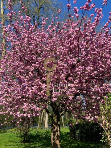 Maison individuelle Roubaix Secteur Croix-Hem-Roubaix 125 m²