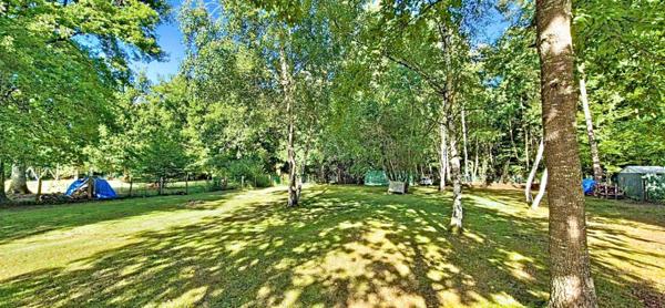 Maison style Chalet 40m2 sur 2196m2 de terrain à Boismorand (45290)