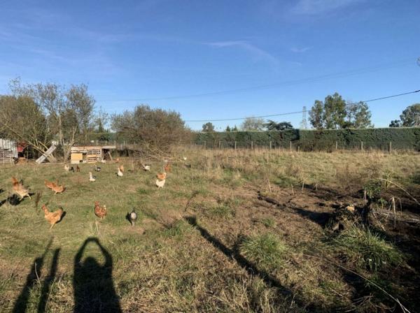 Eaune, terrain plat de 3019m² proche commodités - REF. VT062
