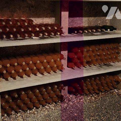 PROPRIÉTÉ EXCEPTIONNELLE DANS LE PERCHE