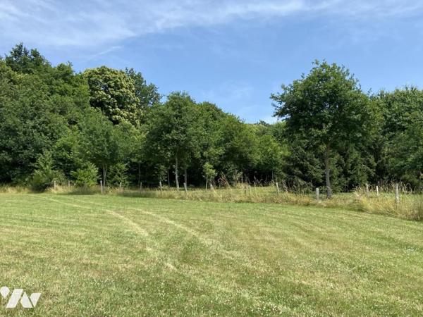 PROPRIÉTÉ EXCEPTIONNELLE DANS LE PERCHE