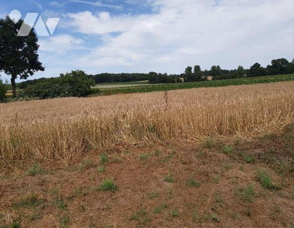 Maison T5, cadre paisible, sur 8260m² de terrain