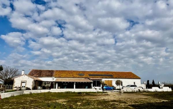 Vente Mas au coeur de la camargue Arles   