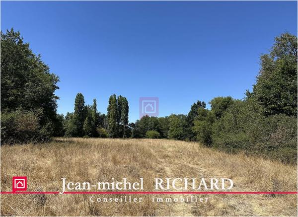 Terrain de loisirs SAULDRE Selles Sur Cher 6000 m2