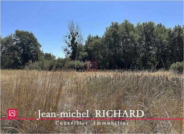 Terrain de loisirs SAULDRE Selles Sur Cher 6000 m2