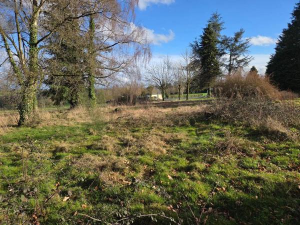 Achat - Terrain à bâtir Saint-Georges-Buttavent 53100 1000 m 2