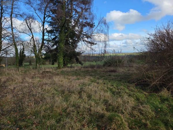 Achat - Terrain à bâtir Saint-Georges-Buttavent 53100 1000 m 2