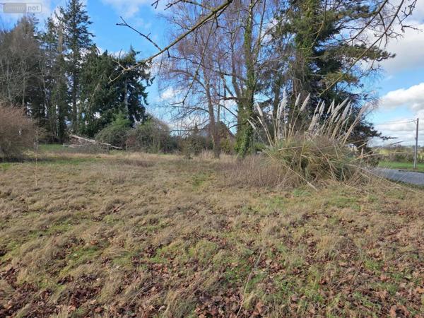 Achat - Terrain à bâtir Saint-Georges-Buttavent 53100 1000 m 2