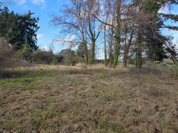 Achat - Terrain à bâtir Saint-Georges-Buttavent 53100 1000 m 2