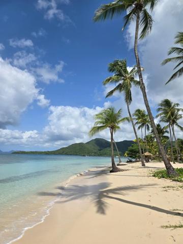 Studio avec piscine à 5 minutes à pieds d'une des plus belle plage de l'ile !