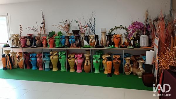 Murs commerciaux  à vendre 480 m² Saint-Martin-d'Ary