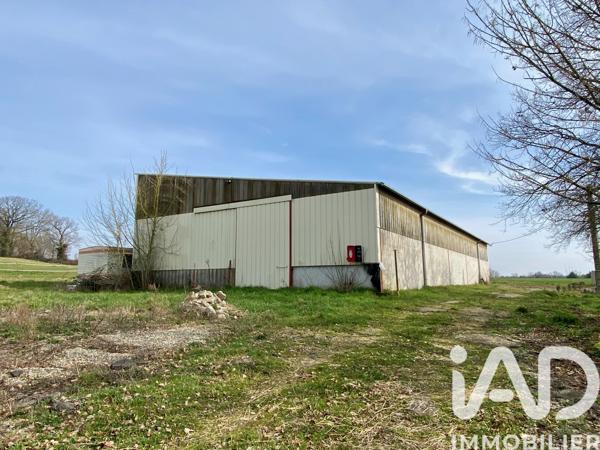 Murs commerciaux  à vendre 450 m² Nérac