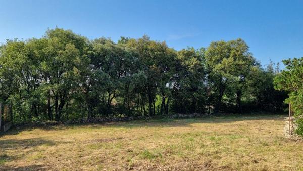 Vente / Terrain constructible