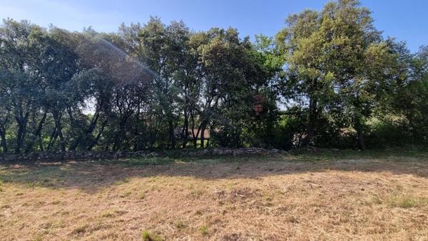 Vente / Terrain constructible