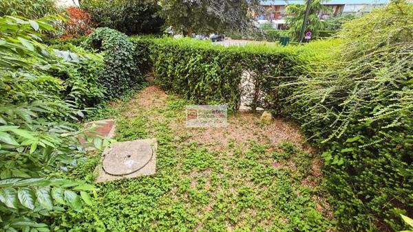 Studio  TBE  26 m2  calme  jardin  lumineux  Le Chesnay