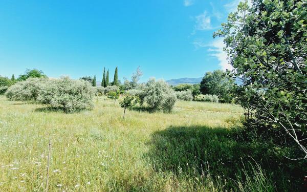 Terrain à vendre    Bédoin