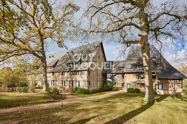 TOURGEVILLE - SUPERBE DUPLEX AVEC VUE MER ET CHARME AUTHENTIQUE