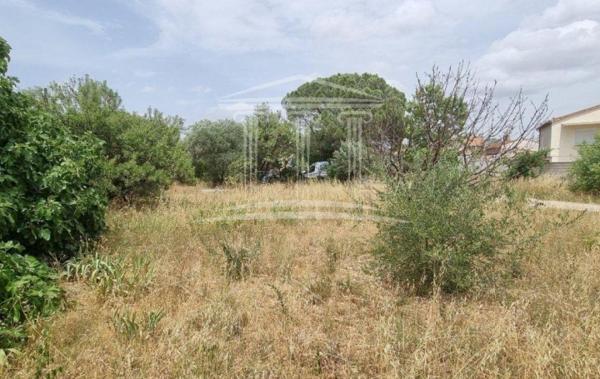 Vente Terrain Sorgues   