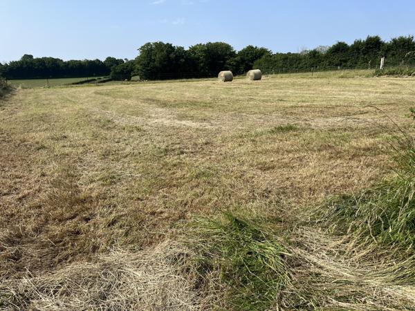 Vente / Terrain constructible