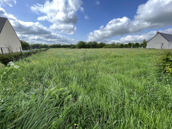 Vente / Terrain constructible