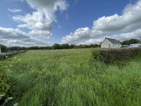 Vente / Terrain constructible