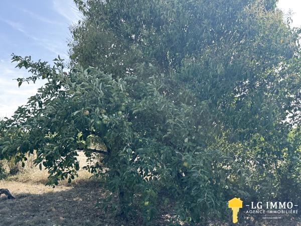Maison de plain-pied au milieu de son jardin arboré d'arbres fruitiers avec grange de 346 m2