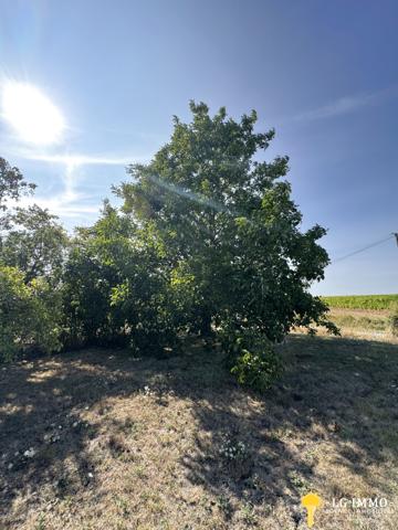 Maison de plain-pied au milieu de son jardin arboré d'arbres fruitiers avec grange de 346 m2