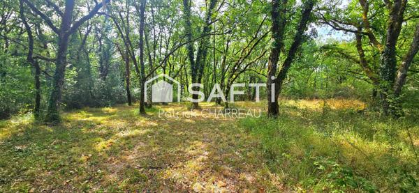 Terrain constructible avec CU - 2200 m² - Calme