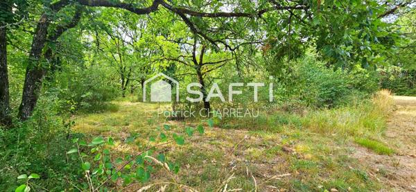 Terrain constructible avec CU - 2200 m² - Calme