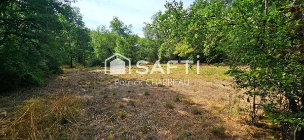 Terrain constructible avec CU - 2200 m² - Calme