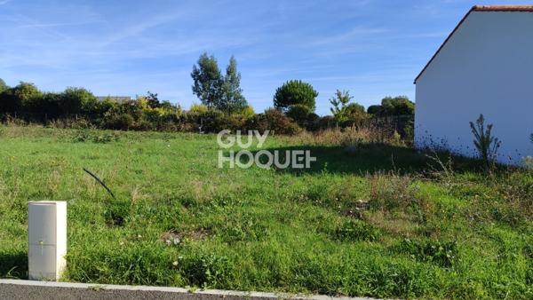 TERRAIN VIABILISÉ AVEC FRAIS DE NOTAIRE RÉDUITS - lot 17