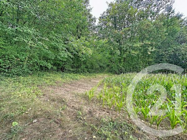 Terrain à vendre  41553 m 2   LONGUEIL ANNEL  - 60