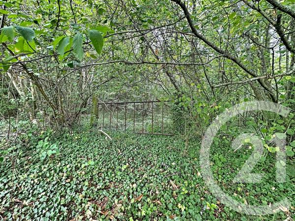 Terrain à vendre  41553 m 2   LONGUEIL ANNEL  - 60
