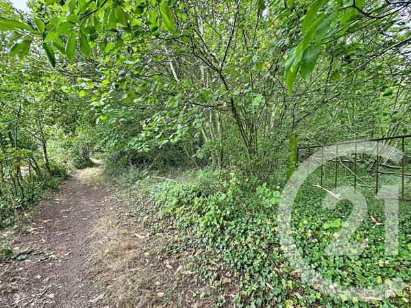 Terrain à vendre  41553 m 2   LONGUEIL ANNEL  - 60