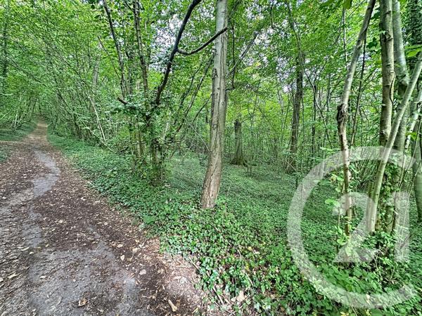 Terrain à vendre  41553 m 2   LONGUEIL ANNEL  - 60