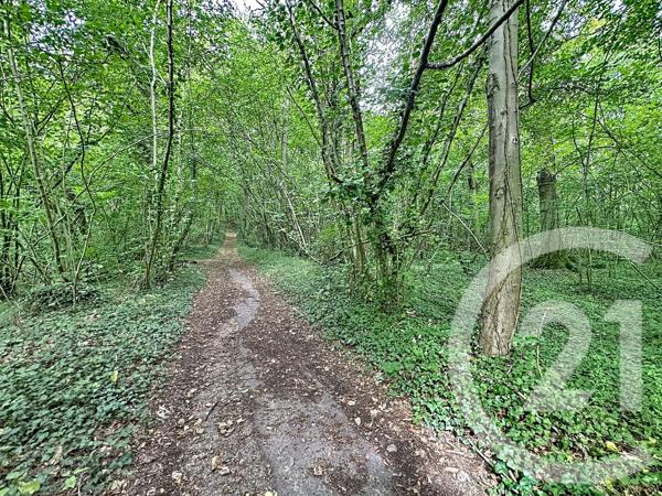 Terrain à vendre  41553 m 2   LONGUEIL ANNEL  - 60