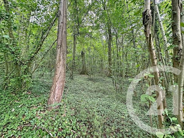 Terrain à vendre  41553 m 2   LONGUEIL ANNEL  - 60