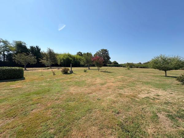 Maison landaise 6 pièces 235m2 sur 6531m2 de terrain