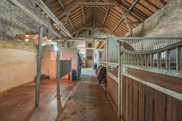 Vente Propriété équestre Saint-Genis-Pouilly 11 Pièces 300 m²