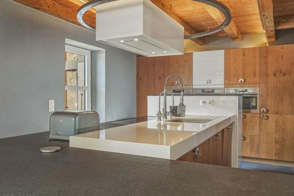 Vente Propriété équestre Saint-Genis-Pouilly 11 Pièces 300 m²