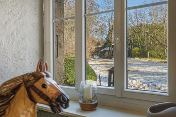 Vente Propriété équestre Saint-Genis-Pouilly 11 Pièces 300 m²