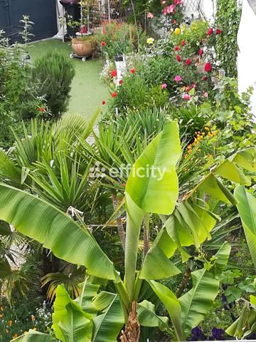 Maison 7 pièces - 165 m²