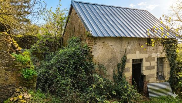 Opportunité à Chalonnes sur Loire : un Corps de ferme à fort potentiel dans un écrin de verdure