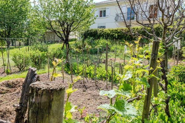 Maison Chateauneuf Sur Charente 14 pièce(s) 150 m2