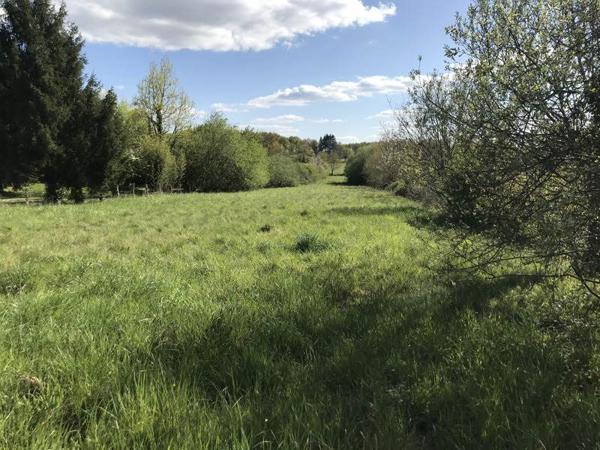 Terrain à vendre |  Écuras |  2489 m²