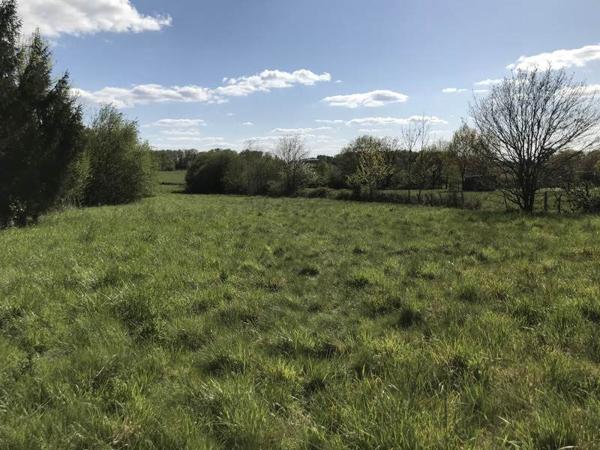 Terrain à vendre |  Écuras |  2489 m²