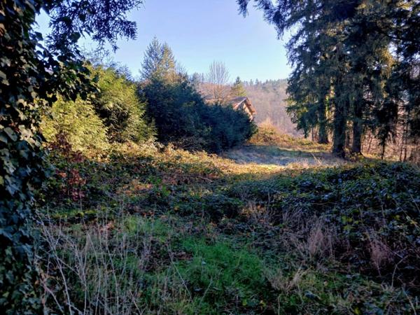 Terrain à vendre bellevue Thiers