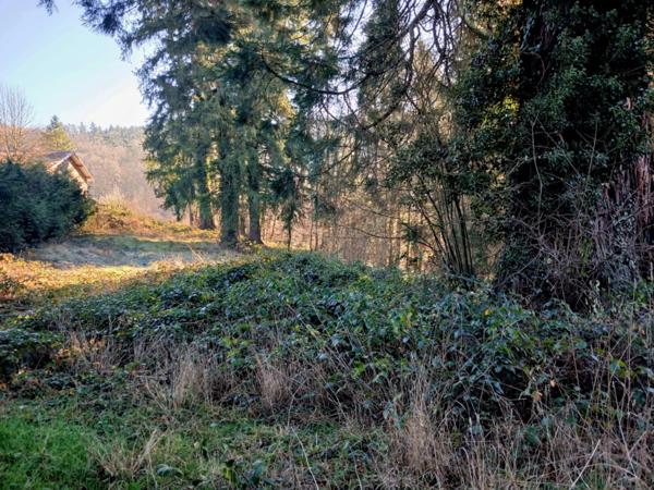 Terrain à vendre bellevue Thiers