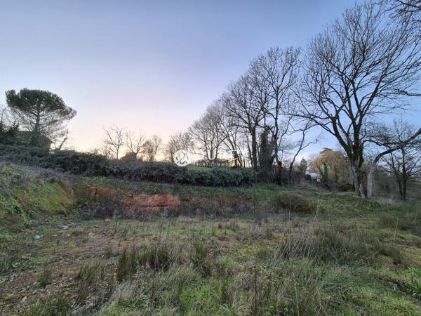 Terrain constructible à vendre, 1504 m² - La Roche-sur-Yon 85000