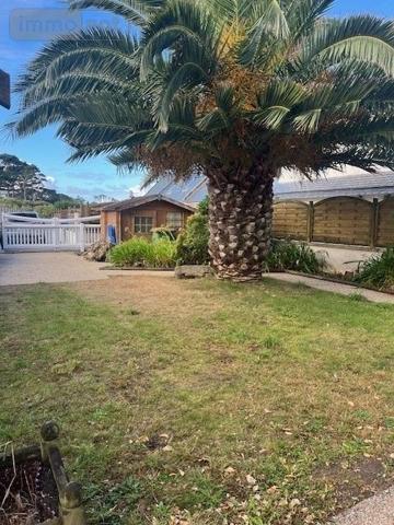 Maison à vendre à Plouguerneau dans le Finistère (29880), ref :